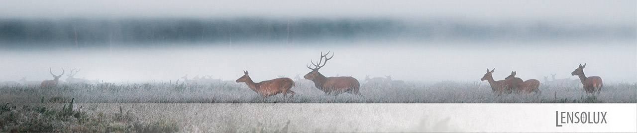 Hunting/Sports